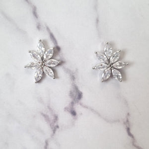AP240 Aretes Plateados Flor Estrella