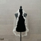 ECUADOR Velo Ivory 1 metro encaje orilla hojas VI335