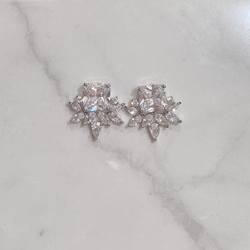 AP253 ARETES PLATEADOS CUADRO CON HOJAS